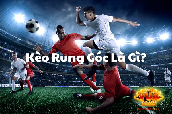 Kèo rung là gì? Cách đọc kèo rung chuẩn 100% giúp bạn ăn lớn