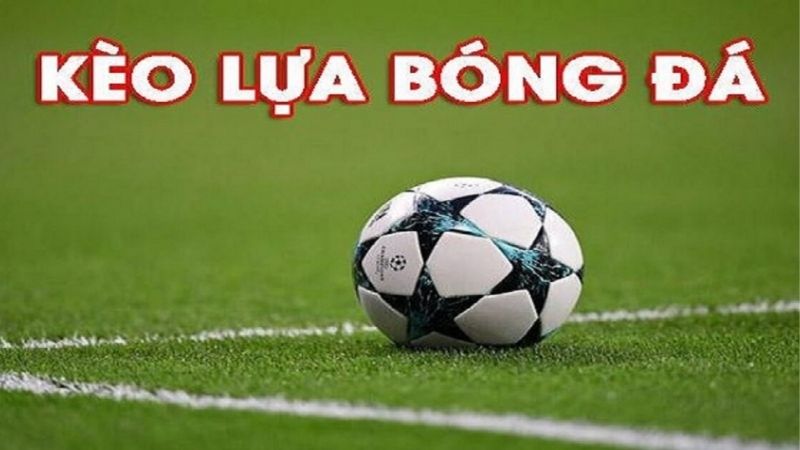 Kèo Lựa Là Gì | Khi Nào Nên Vào Kèo Để Có Lời An Toàn